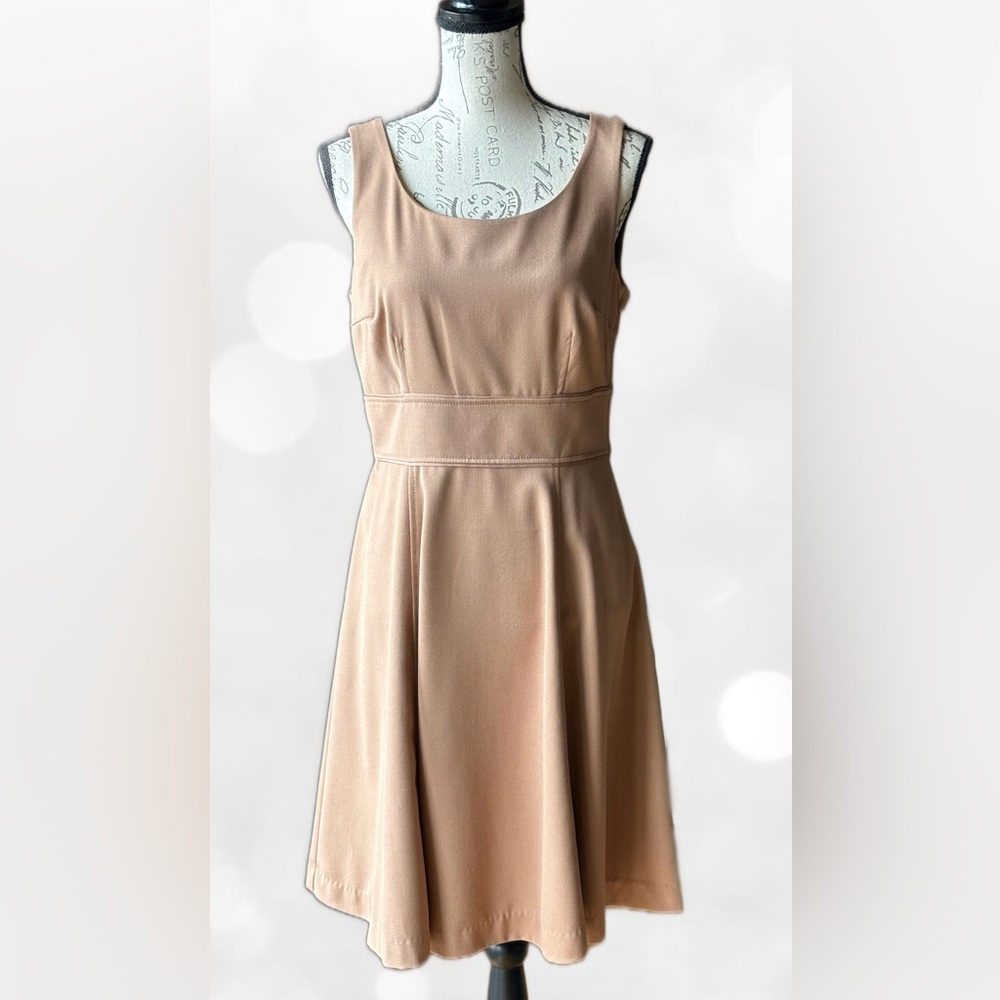 Forever 21 Fitted Bodice Sleeveless Dress, A-Line/Full Lined Skirt (10) NWT